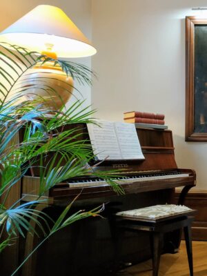 salon piano